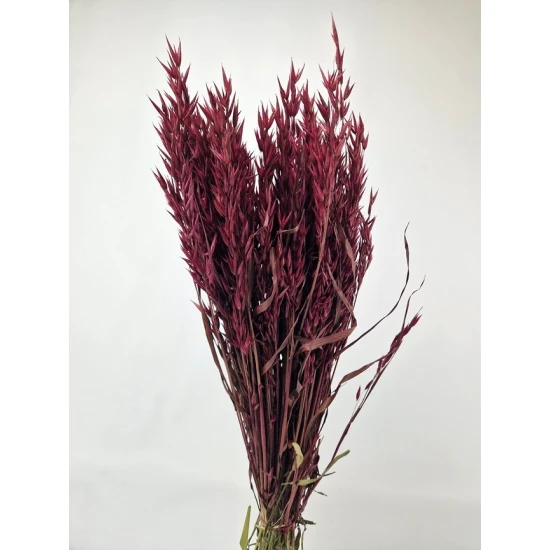 AVOINE BORDEAUX BOPP/kraft emballage hobby