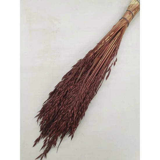 AVOINE MARRON FONCE 1/2 BOPP/kraft