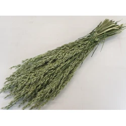 AVOINE NATUREL 1/2 BOPP/kraft emballage hobby