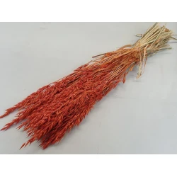 AVOINE ORANGE 1/2 BOPP/kraft emballage hobby