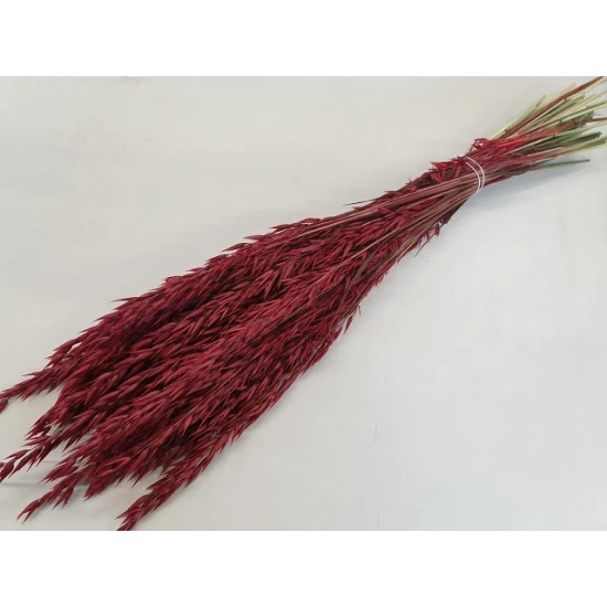 AVOINE ROUGE 1/2 BOPP/kraft