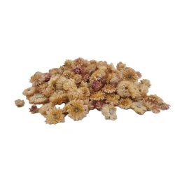 HELICHRYSUMKOPPEN CREAM/ROZE NATUREL +/-40GR