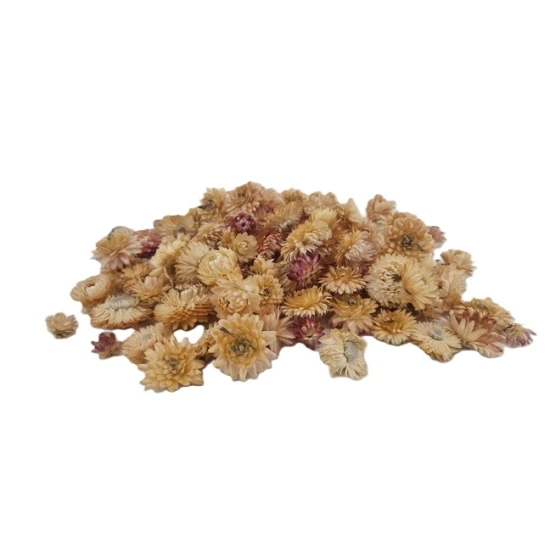 HELICHRYSUMKOPPEN CREAM/ROZE NATUREL +/-40GR