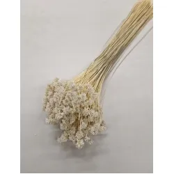 HILL FLOWER BLEACHED +/-150GR