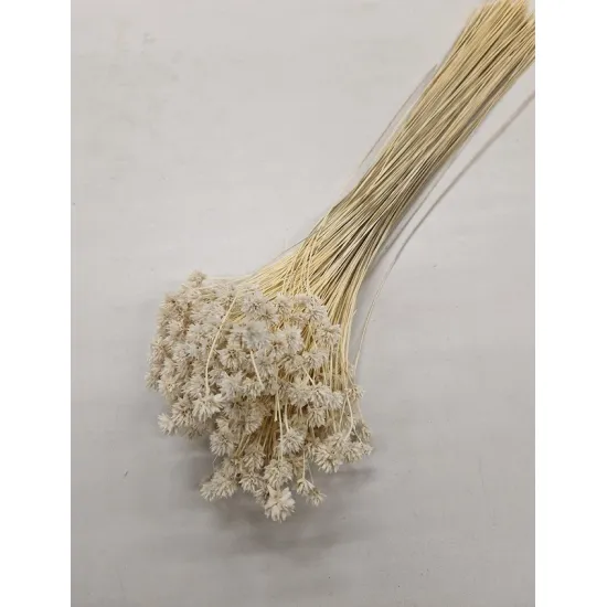 HILL FLOWER BLEACHED +/-150GR