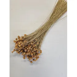 HILL FLOWER NATURAL +/-150GR