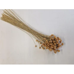 HILL FLOWER NATURAL +/-75GR BOPP/kraft Small packaging