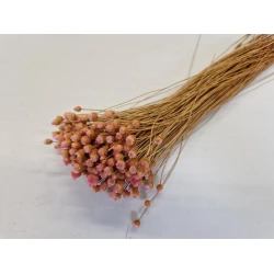 JASILDA LIGHT PINK +/-50GR BOPP/kraft Small packaging