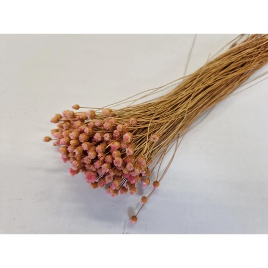 JASILDA LIGHT PINK +/-50GR BOPP/kraft Small packaging