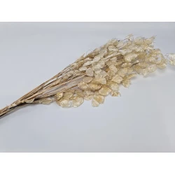 HONESTY PEALED NATURAL +/-40GR