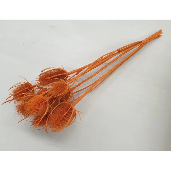 CHARDON THISTLE ORANGE 1/2 BOPP/kraft