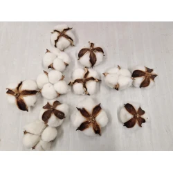 COTTON HEADS NATURAL 12PCS