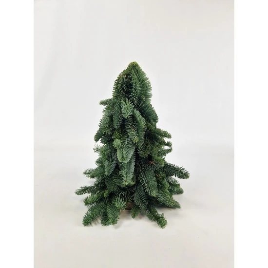 KERSTBOOM NOBILIS 50CM