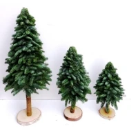 KERSTBOOM NOBILIS OP STAM 50/80CM