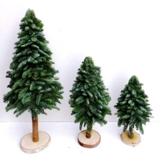 KERSTBOOM NOBILIS OP STAM 40/60CM