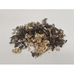 BLACK MOSS +/-50GR