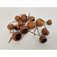 KURUCHI FRUIT NATUREL 100PCS