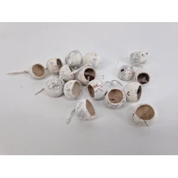 FRUIT KURUCHI WHITE WASH 15PCS