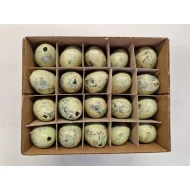 OEUFS DE CAILLE VERT PASTEL 60PCS