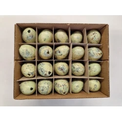 KWARTELEIEREN PASTELGROEN 60ST