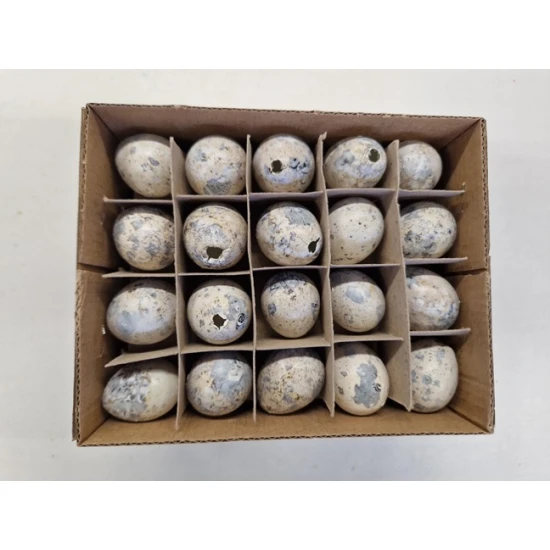 KWARTELEIEREN WIT 60ST