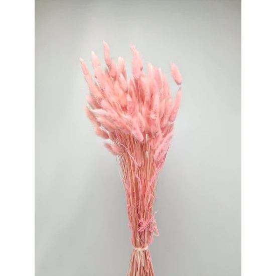 LAGURUS OVATUS BABY PINK +/-100GR BOPP/kraft Small packaging