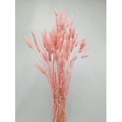 LAGURUS OVATUS BABY PINK +/-50GR BOPP/kraft Small packaging