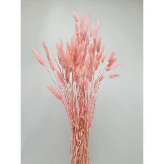 LAGURUS OVATUS BABY PINK +/-50GR BOPP/kraft Small packaging