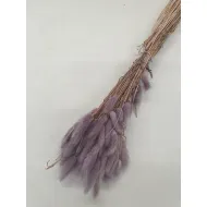 LAGURUS OVATUS DONKERLILA +/-100GR