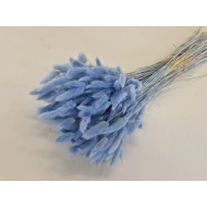 LAGURUS OVATUS LAVENDEL +/-100GR