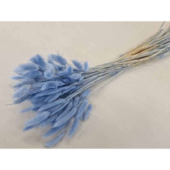 LAGURUS OVATUS LAVENDE +/-50GR BOPP/kraft emballage hobby