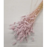 LAGURUS OVATUS ROSE CLAIR +/-100GR BOPP/kraft emballage hobby