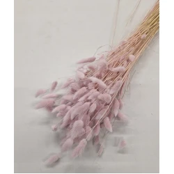 LAGURUS OVATUS LIGHT PINK +/-100GR BOPP/kraft Small packaging