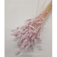 LAGURUS OVATUS LICHTROZE +/-50GR BOPP/kraft hobbyverpakking