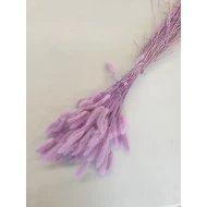 LAGURUS OVATUS LILA +/-50GR BOPP/kraft hobbyverpakking