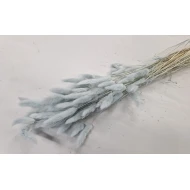 LAGURUS OVATUS MEADOW MIST +/-50GR BOPP/kraft hobbyverpakking