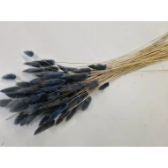 LAGURUS OVATUS MOSGRIJS +/-50GR BOPP/kraft hobbyverpakking