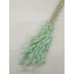 LAGURUS OVATUS MINT +/-100GR BOPP/kraft Small packaging