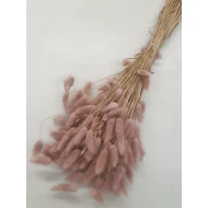 LAGURUS OVATUS OUDROZE +/-100GR BOPP/kraft hobbyverpakking