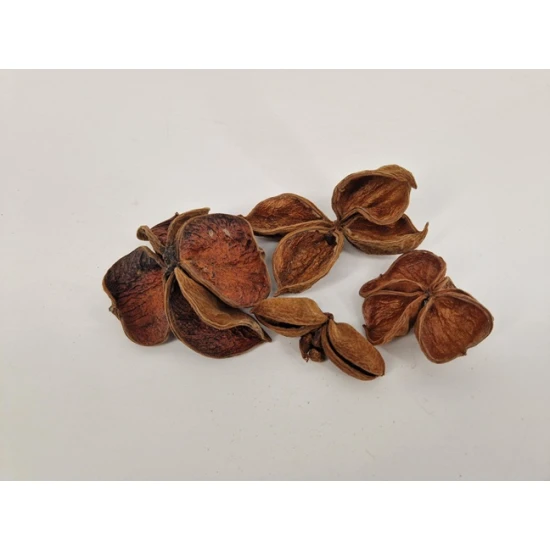 LAND LOTUS NATURAL 15PCS