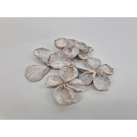 LANDLOTUS  WHITE WASH 15ST