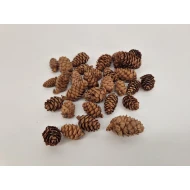 LARIX NATUREL +/-100GR