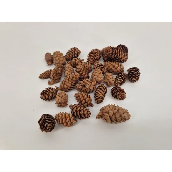 LARIX NATUREL +/-500GR