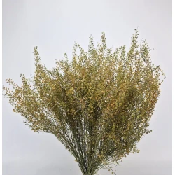 LEPIDIUM ATRAXA NATURAL BOPP/kraft Small packaging