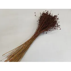 LINUM (FLAX) BROWN +/-50GR BOPP/kraft Small packaging