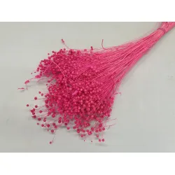 LINUM (FLAX) FUCHSIA +/-50GR BOPP/kraft Small packaging