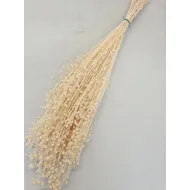 LINUM (VLAS) GEBLEEKT +/-50GR BOPP/kraft hobbyverpakking