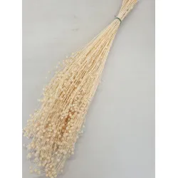 LINUM (FLAX) BLEACHED +/-50GR BOPP/kraft Small packaging