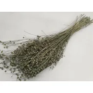 LINUM (VLAS) ICE GREEN +/-50GR BOPP/kraft hobbyverpakking