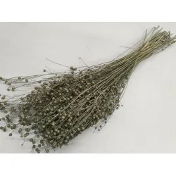 LINUM (FLAX) ICE GREEN +/-50GR BOPP/kraft Small packaging